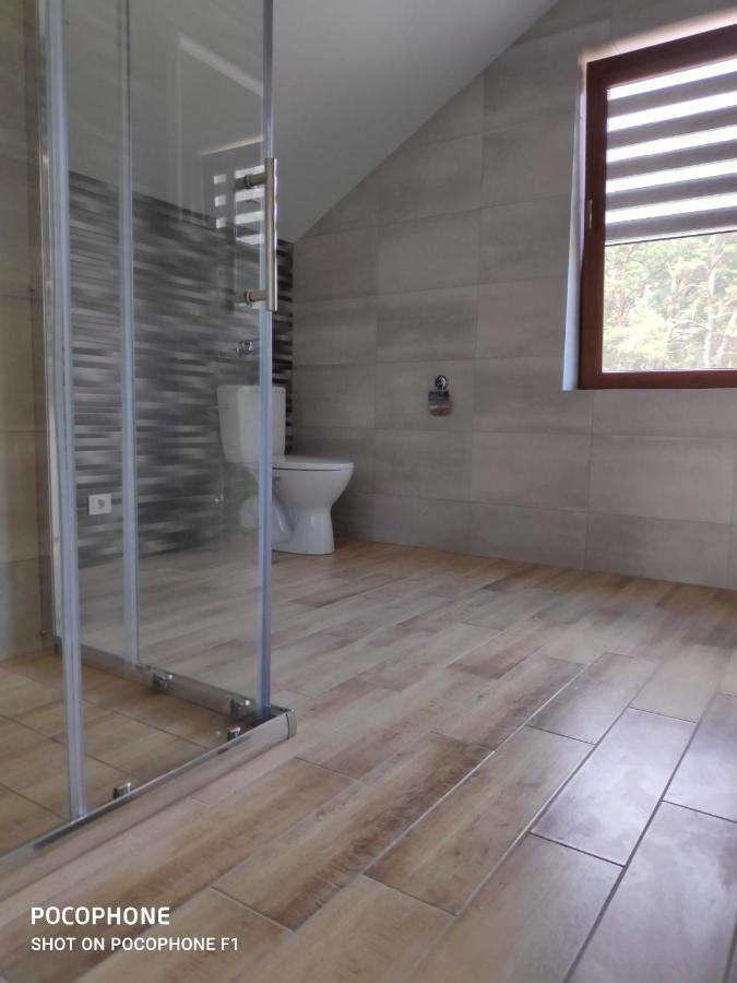 דרוסקינינקאי Domo Vila מראה חיצוני תמונה